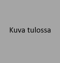 Kuva tulossa